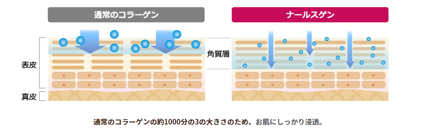 ナールスゲン浸透力