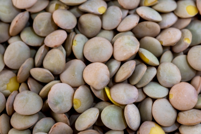 レンズ豆は体に悪いし食べ過ぎで太るって本当？毒性をチェック！