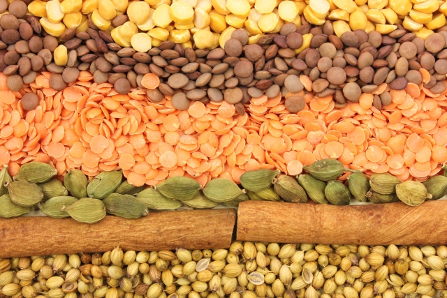 レンズ豆は体に悪いし食べ過ぎで太るって本当？毒性をチェック！